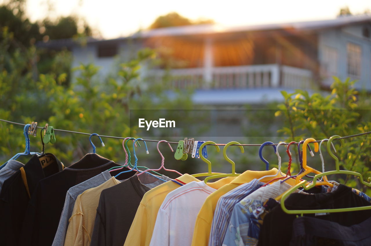 Close-up of drying against blurred background