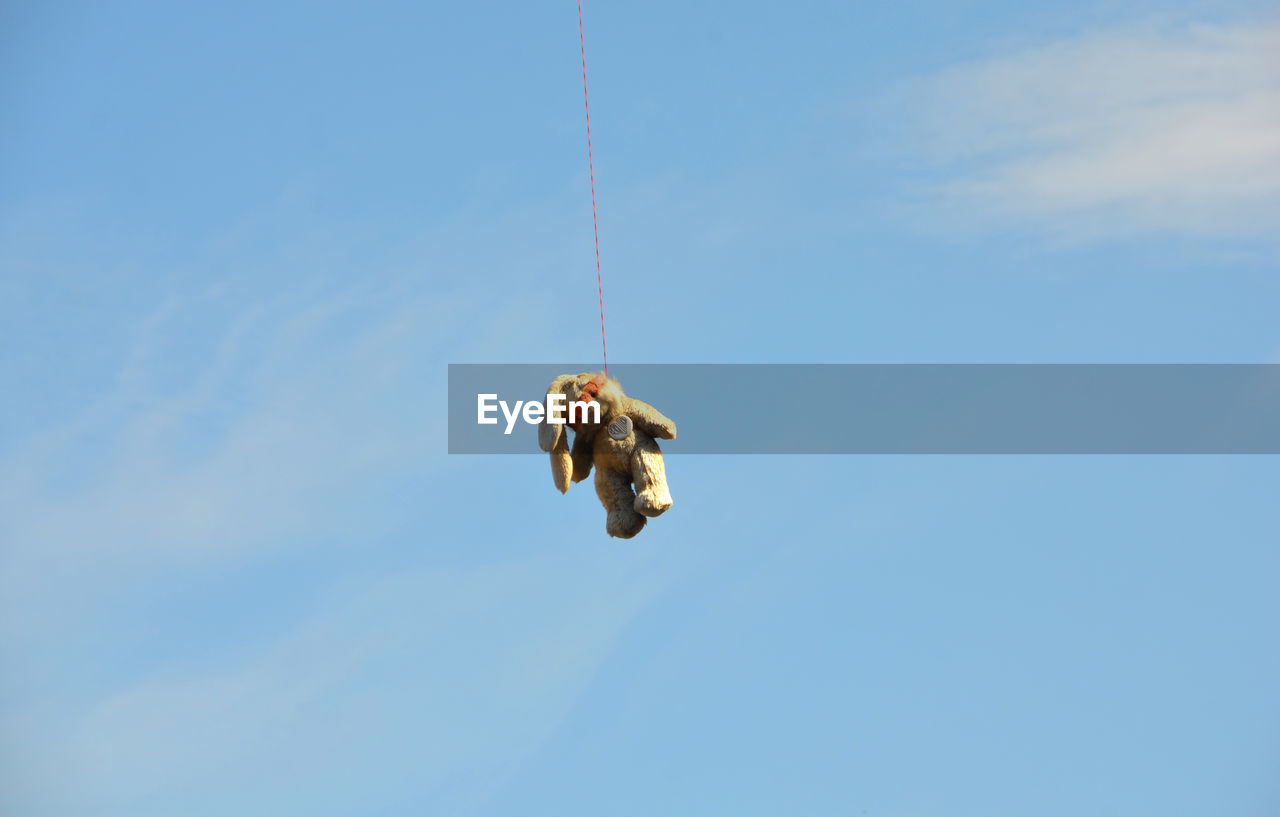 Teddy bear hanging from telephone line against sky