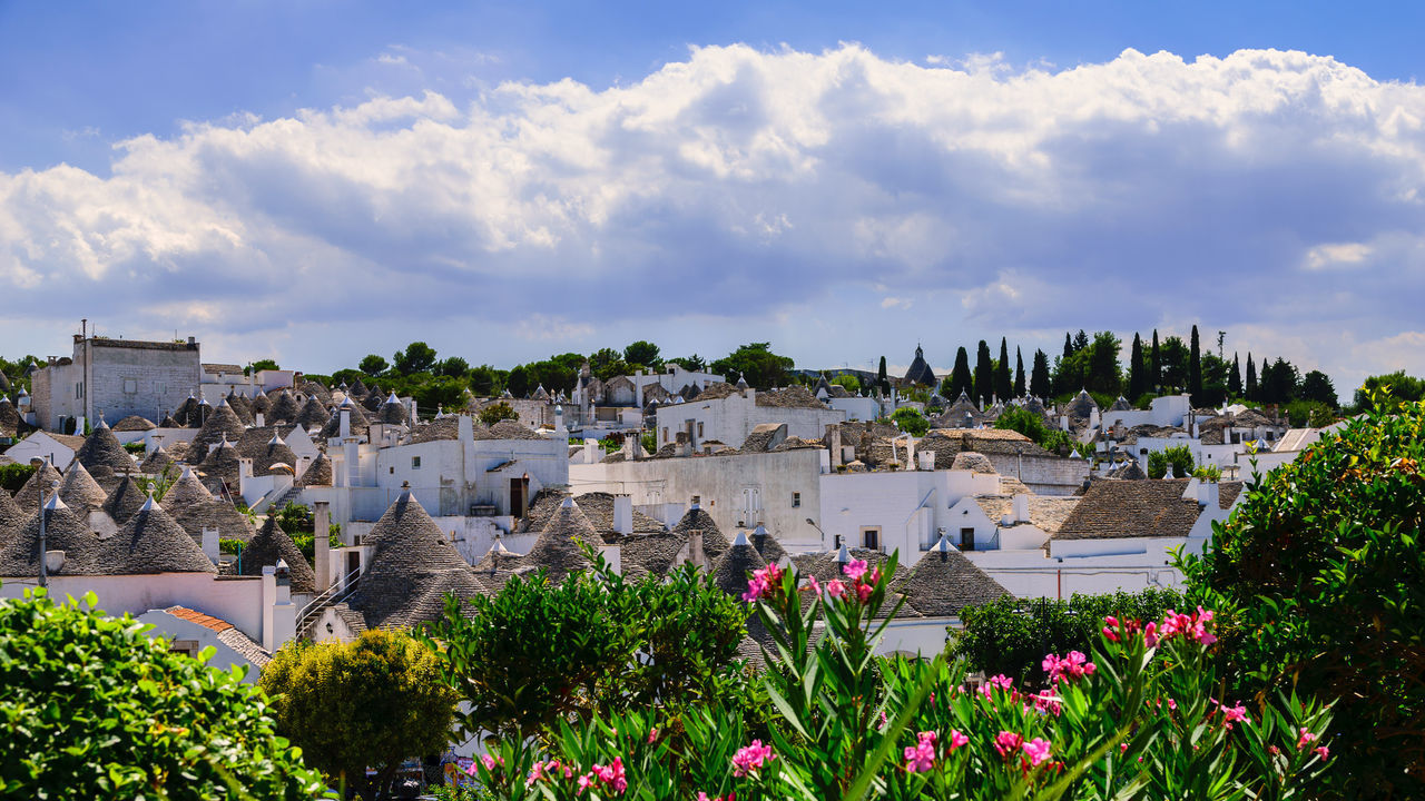 Houses in town against sky