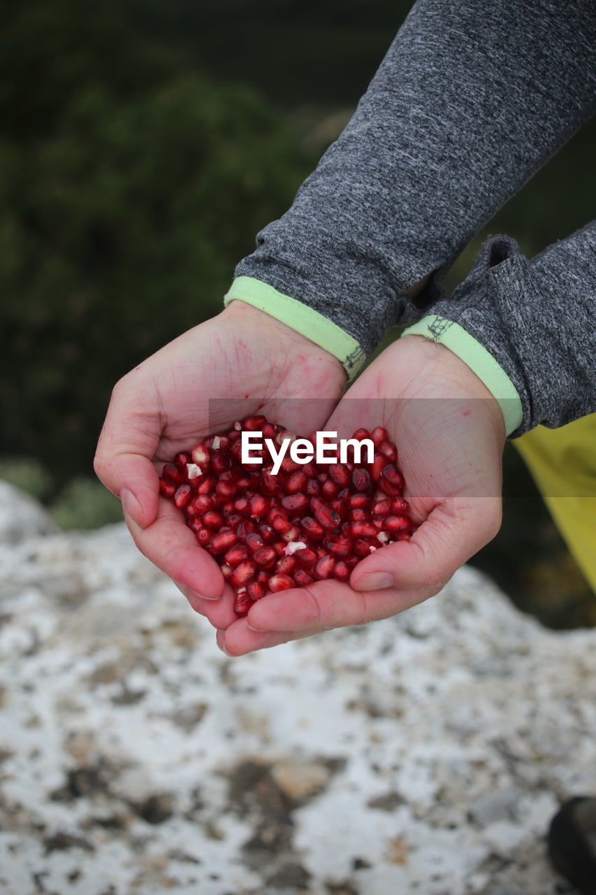 Cropped hands holding pomegranate seeds