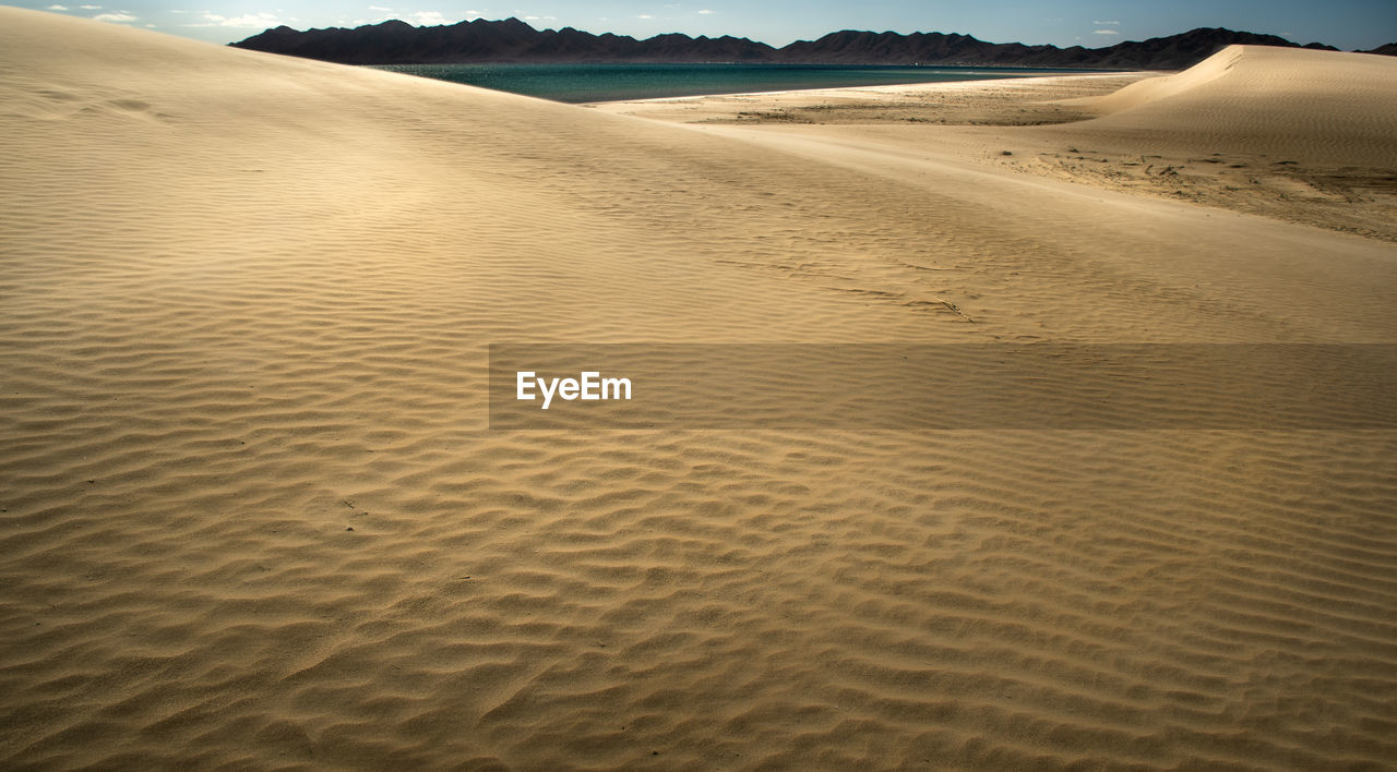 Scenic view of beach 