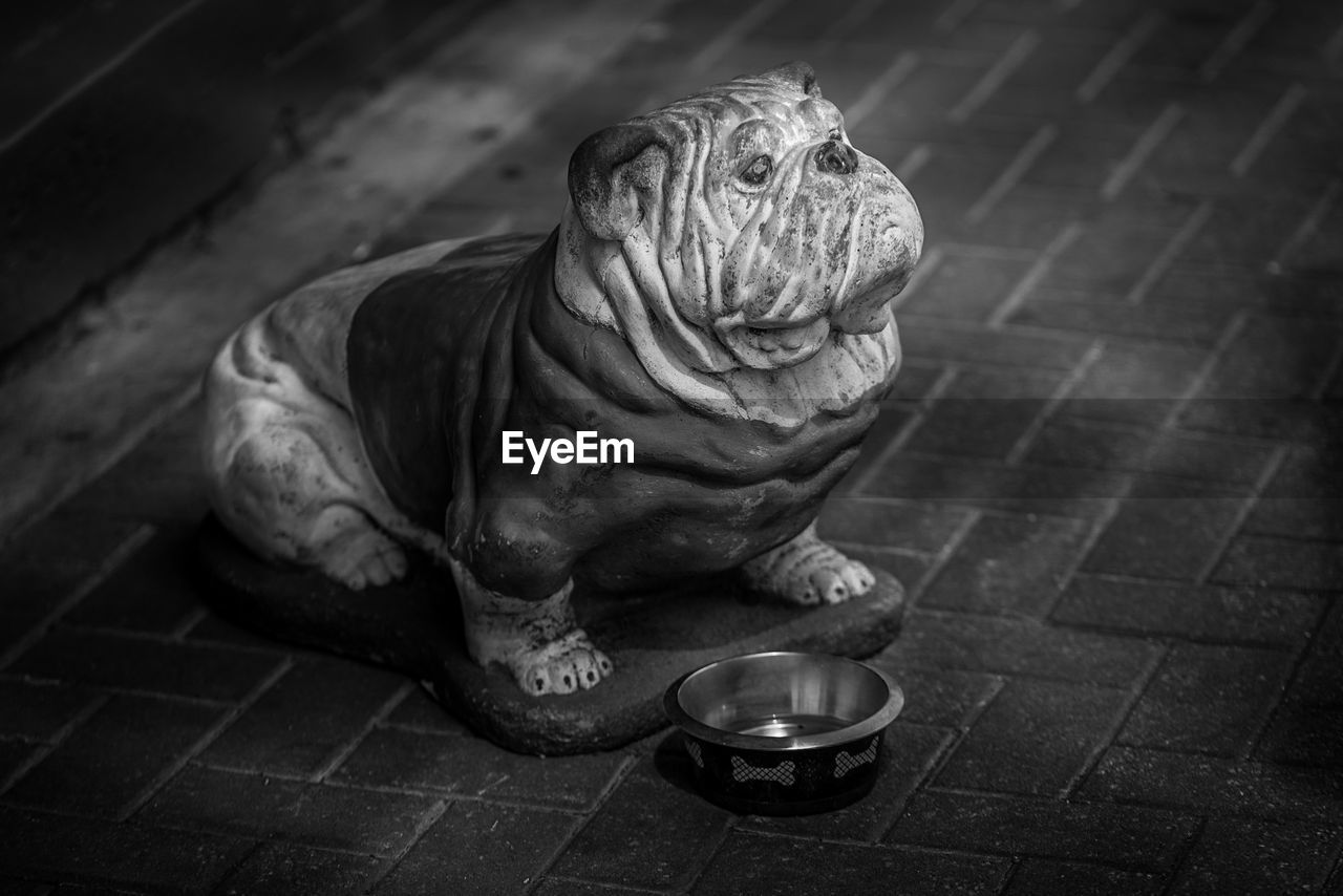 Close-up of dog figurine on street