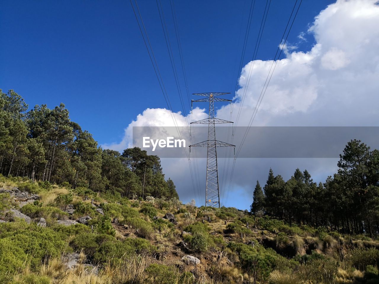 LOW ANGLE VIEW OF ELECTRICITY PYLON ON TREE AGAINST SKY