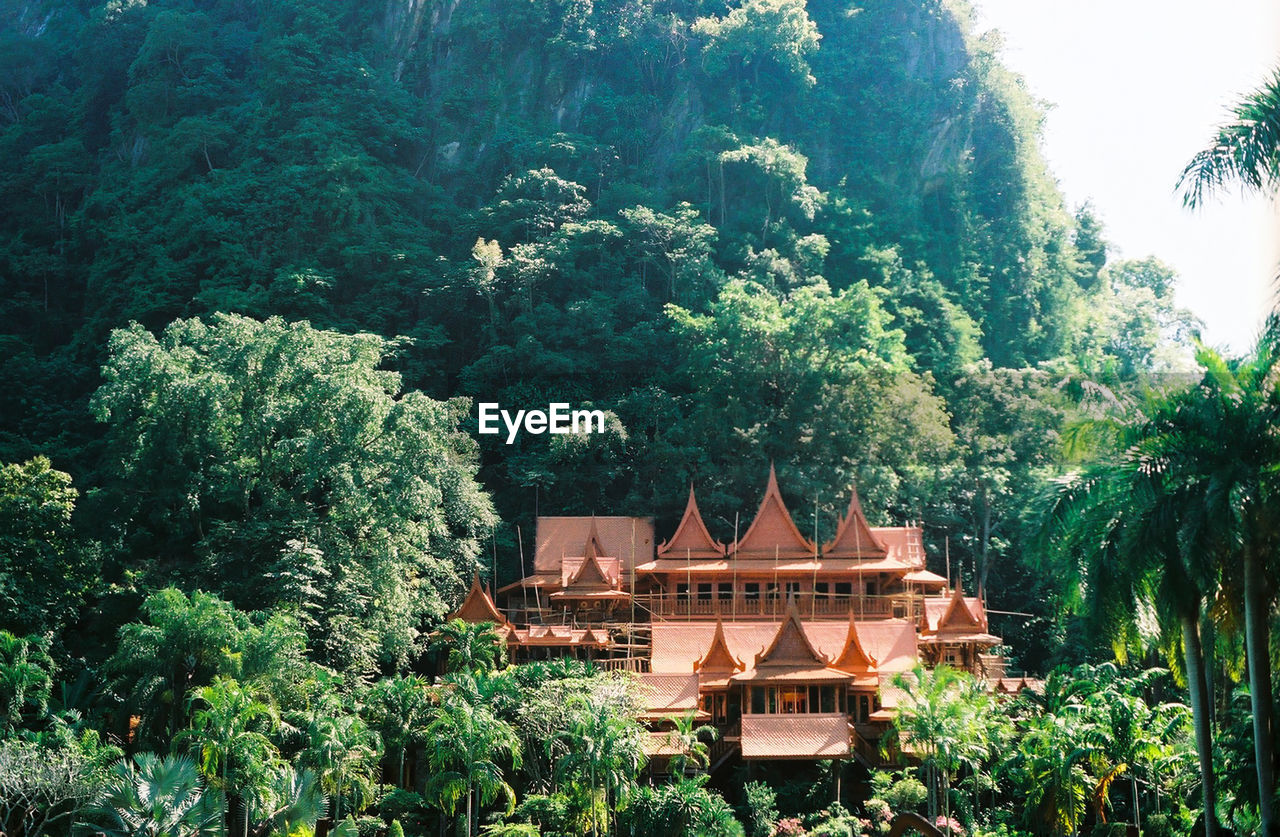 BUILT STRUCTURE BY TREES IN FOREST