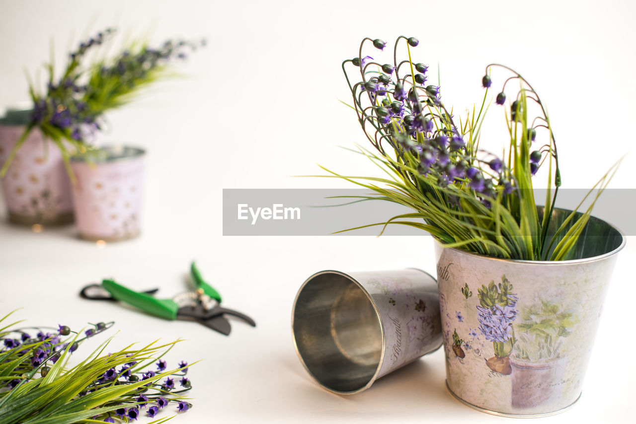 CLOSE-UP OF POTTED PLANT IN VASE