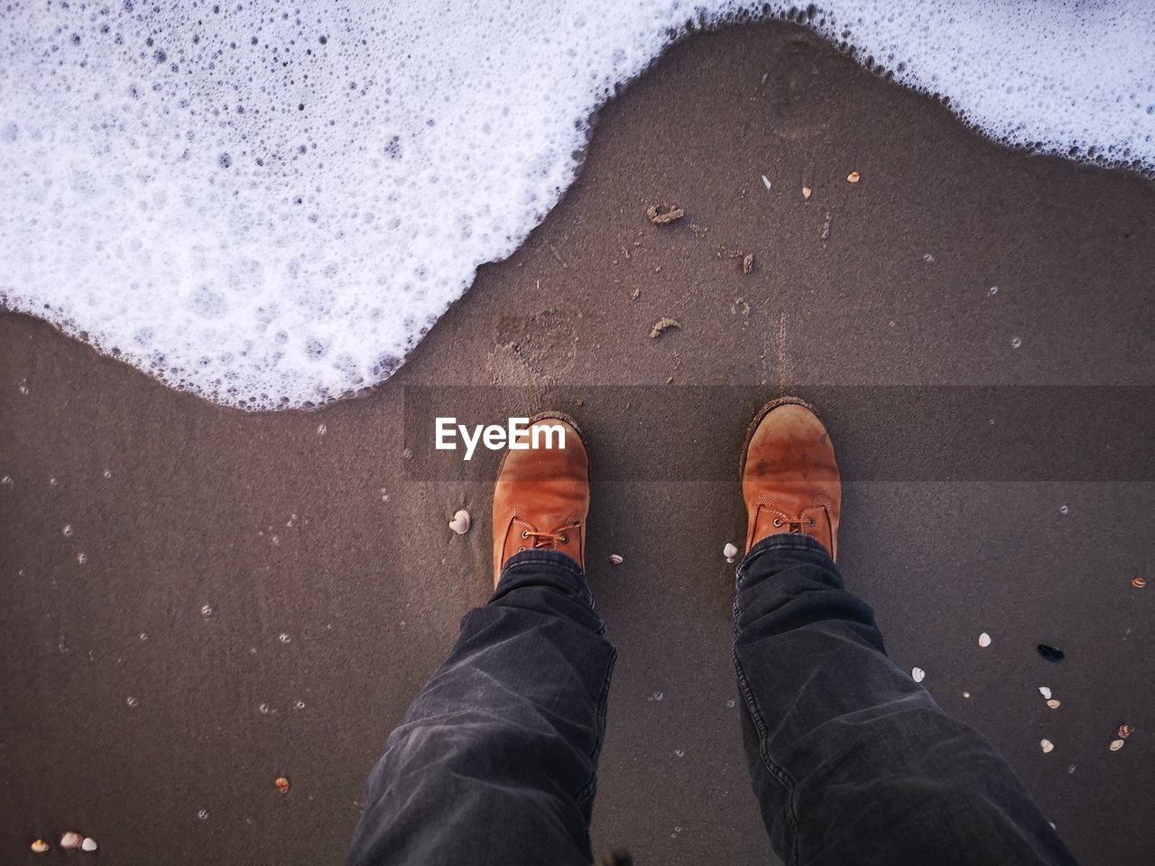 Low section of man standing on beach 