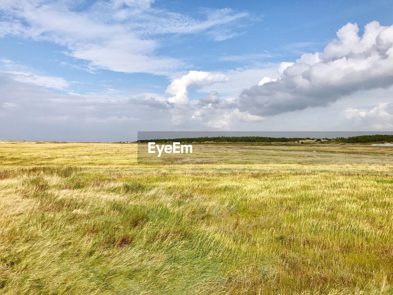 Scenic view of fields against cloudy sky