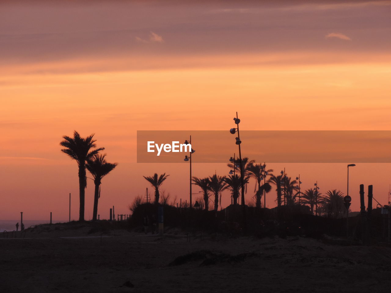Silhouette palm trees on landscape against orange sky
