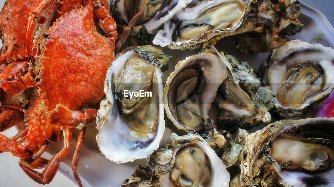 Close-up of crabs and oysters in plate