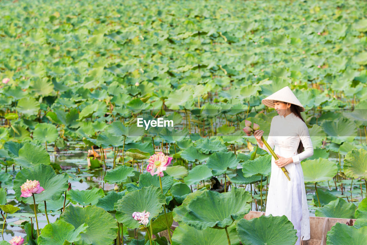 Vietnamese woman picking lotus flowers on a wooden boat