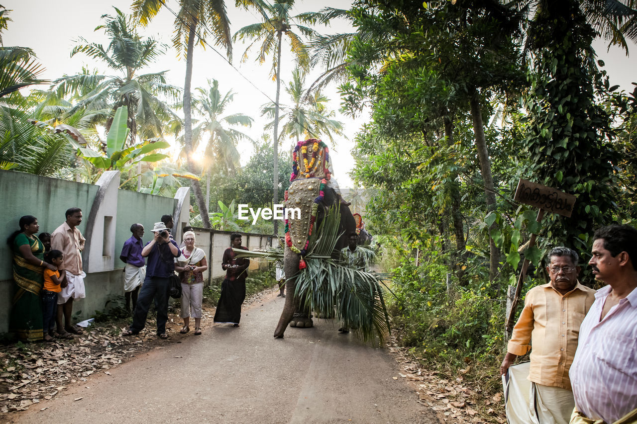 PEOPLE WALKING ON PALM TREES