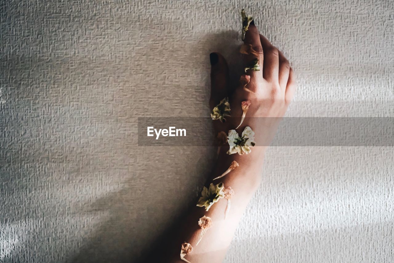 Cropped hand of woman with flowers against wall