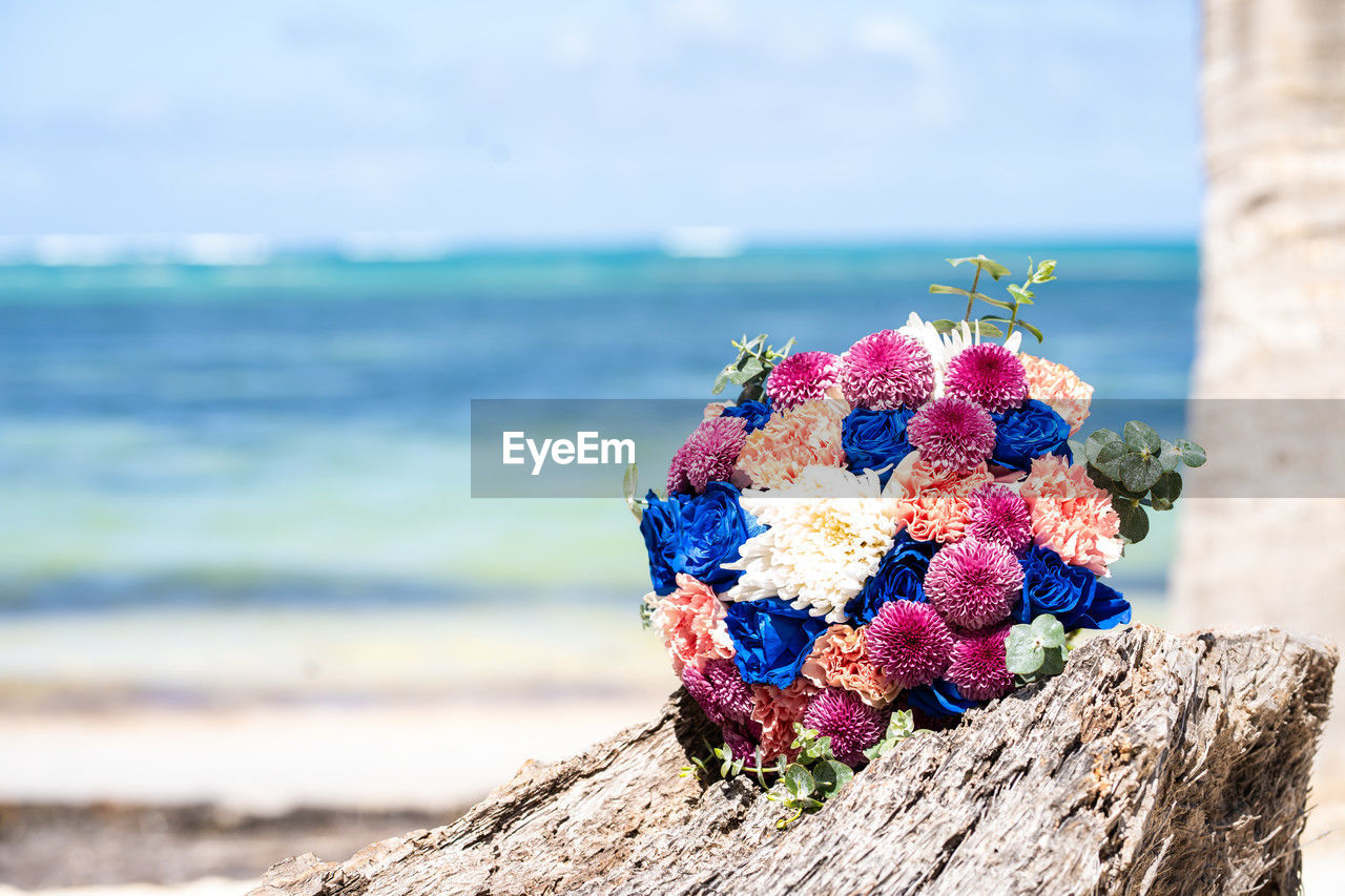 sea, nature, land, water, beach, blue, flower, beauty in nature, sky, plant, day, focus on foreground, flowering plant, no people, outdoors, multi colored, wood, tranquility, scenics - nature, horizon, close-up, travel destinations, sunlight, spring, sand, holiday, horizon over water, summer, freshness, tree, tranquil scene