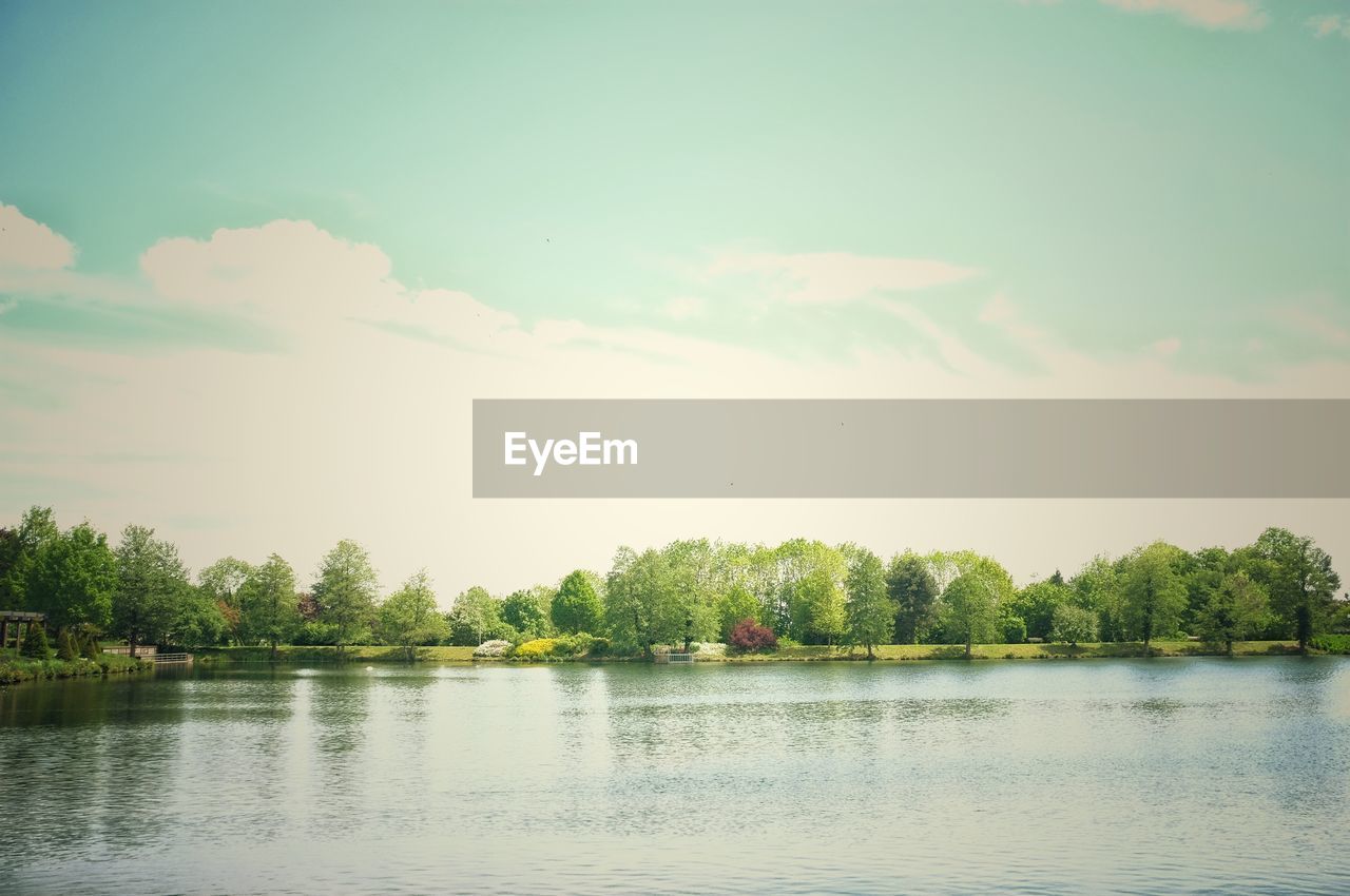 TREES BY LAKE AGAINST SKY