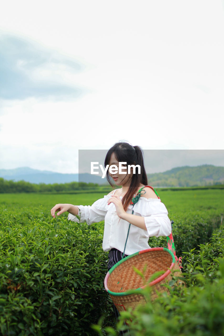 Smiling woman with basket picking leaves in tea plantation field