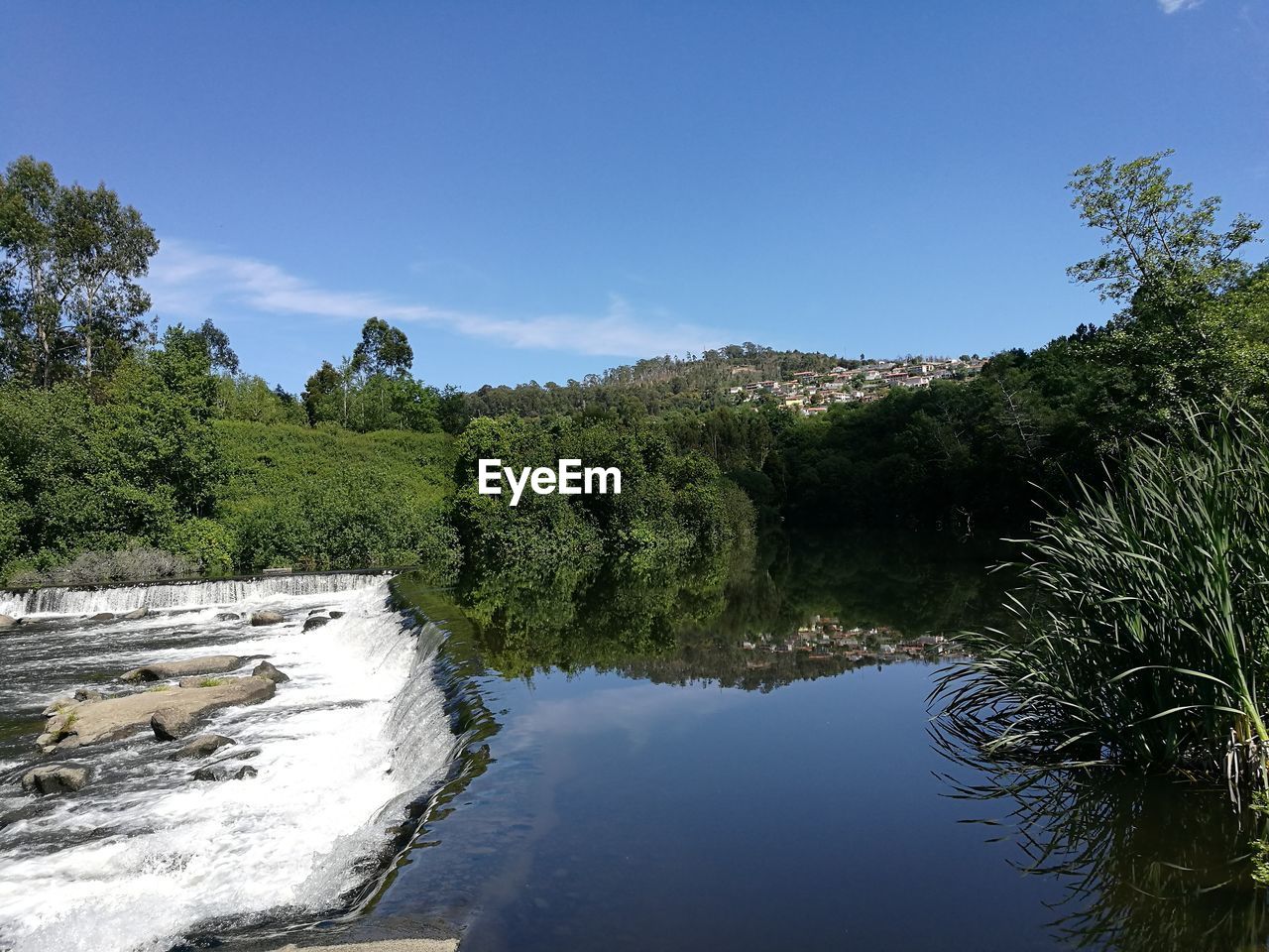 SCENIC VIEW OF RIVER IN FOREST AGAINST SKY