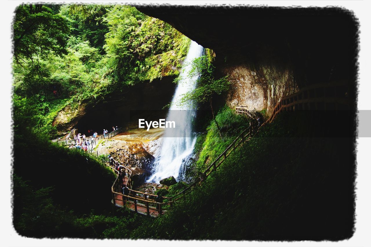 WATER FLOWING THROUGH PLANTS