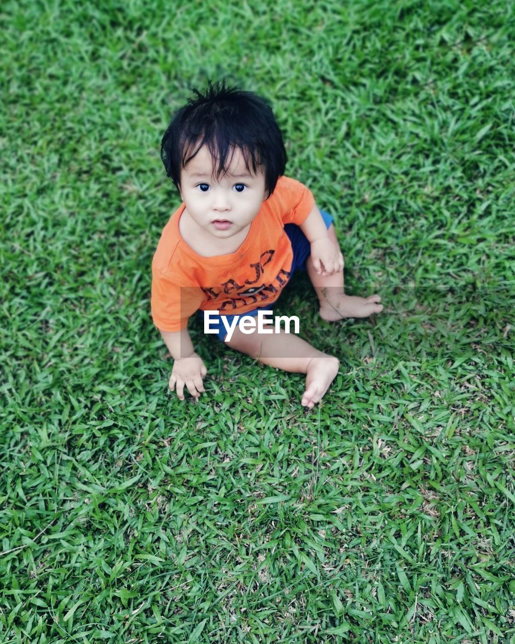 Portrait of cute baby boy on field