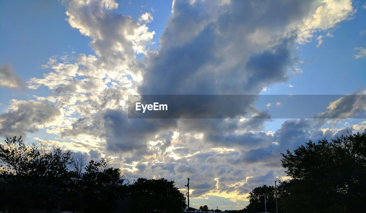 LOW ANGLE VIEW OF SILHOUETTE TREES AGAINST SKY AND CLOUDS