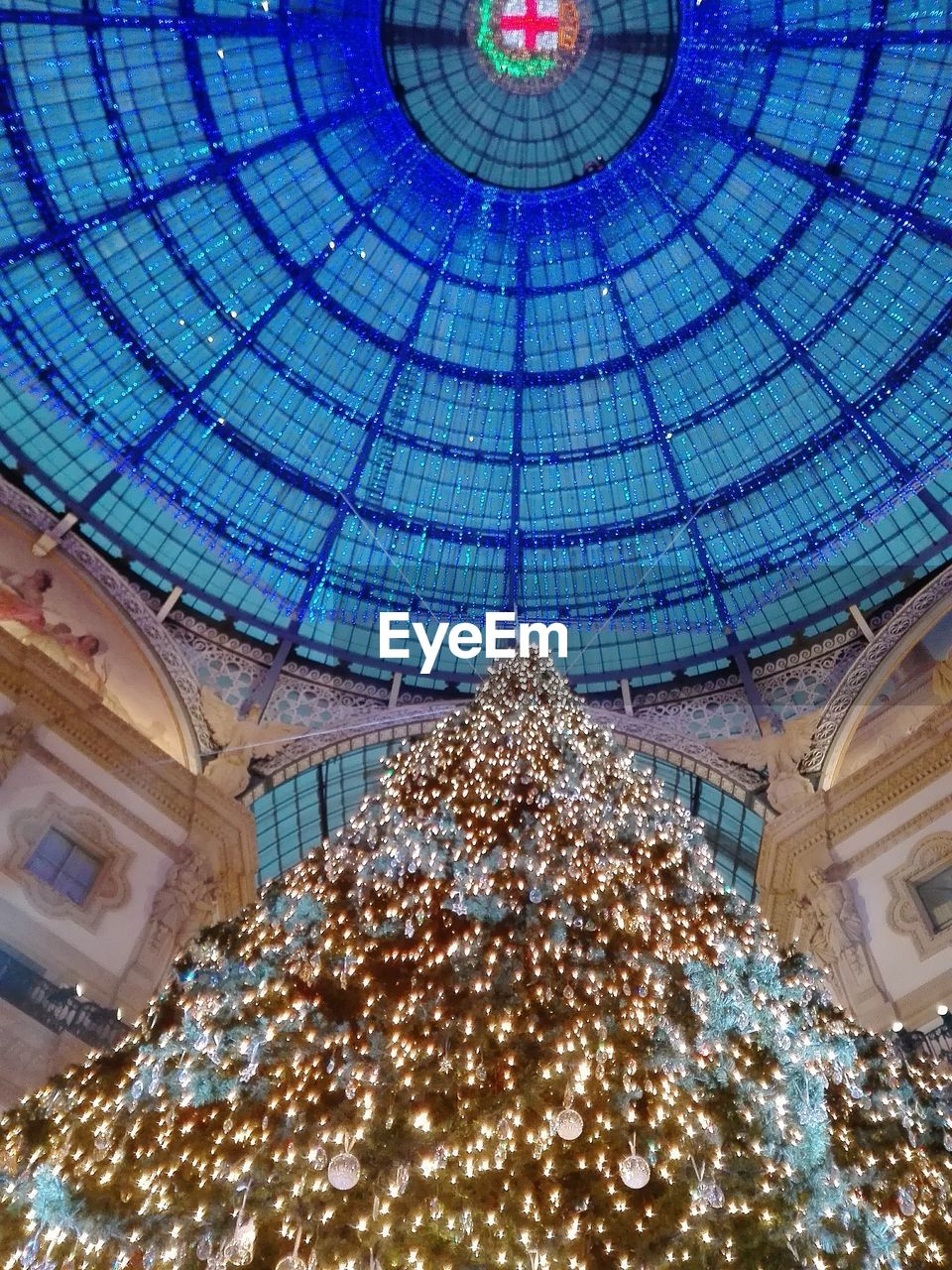 Low angle view of illuminated christmas tree