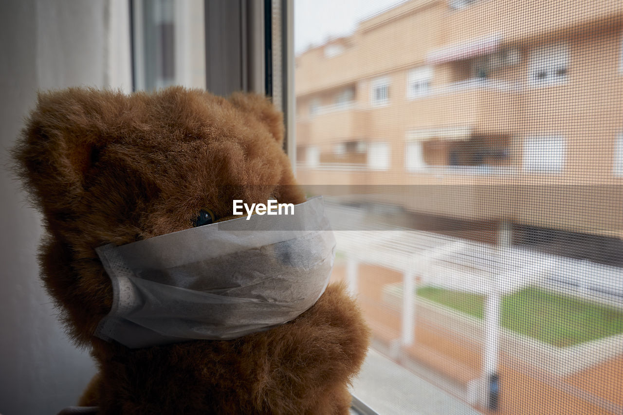 Teddy bear with face mask looking out the window quarantined covid-19