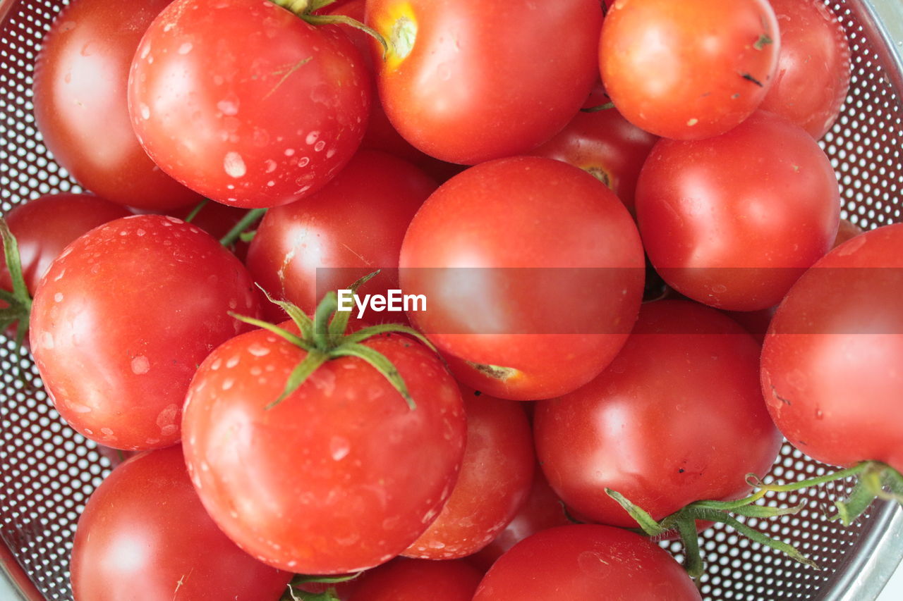 FULL FRAME SHOT OF TOMATOES IN WATER