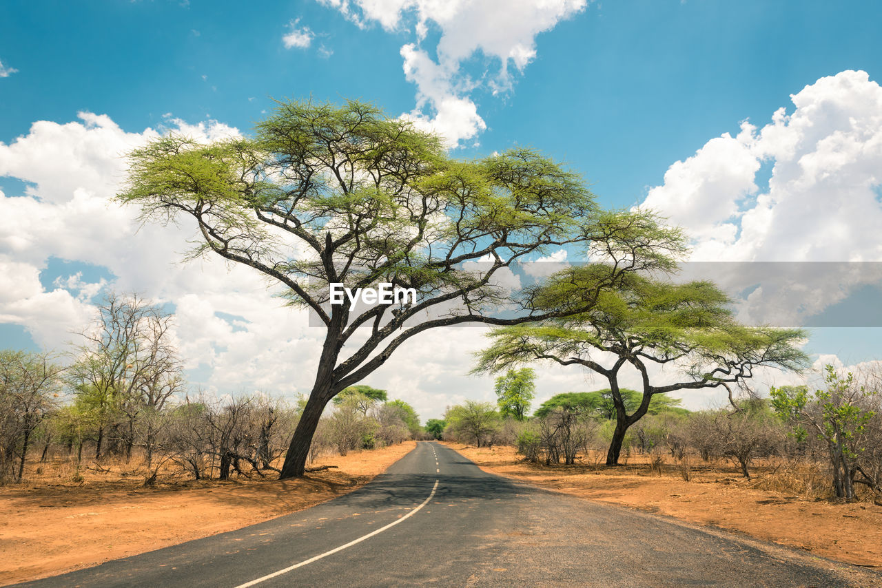 Road amidst trees against sky