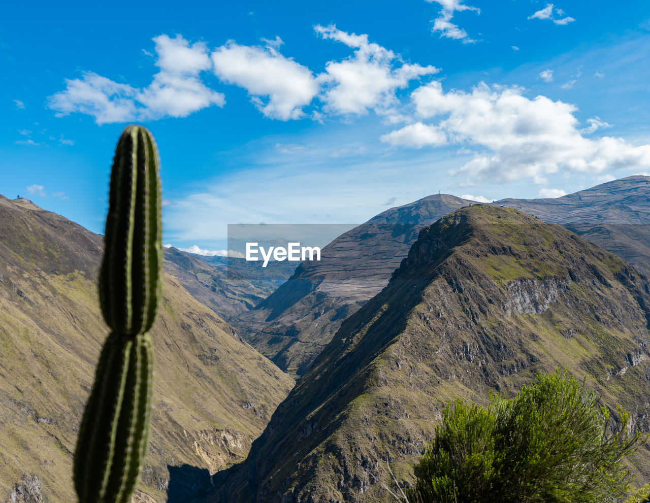 mountain, scenics - nature, sky, environment, landscape, nature, beauty in nature, cloud, mountain range, plant, land, travel destinations, no people, wilderness, travel, blue, non-urban scene, tranquility, tranquil scene, outdoors, day, tree, tourism, pine tree, idyllic, ridge, sunlight, mountain peak, pinaceae, rock, coniferous tree, valley, semi-arid