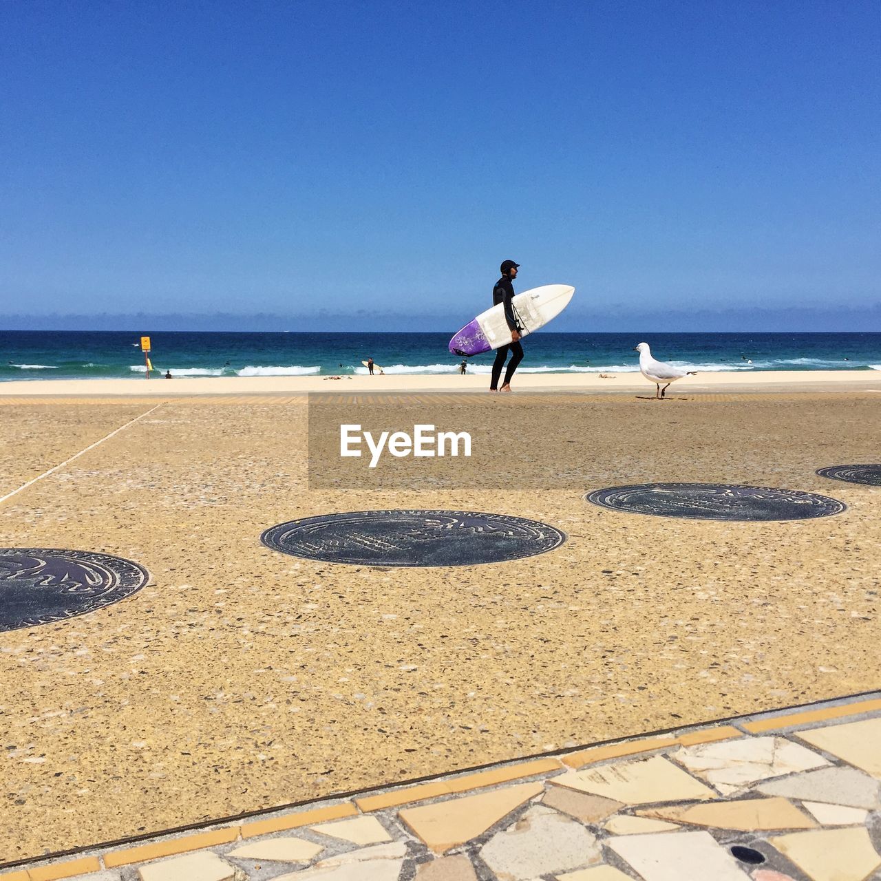 Seagull by man carrying surfboard on beach against clear sky