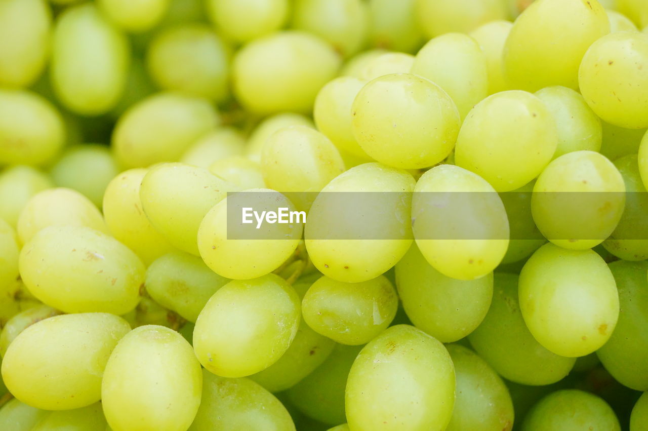 FULL FRAME SHOT OF GRAPES IN GREEN BACKGROUND