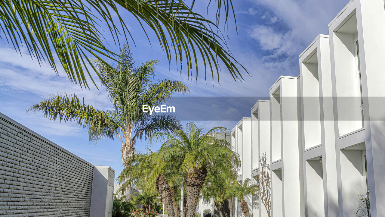 LOW ANGLE VIEW OF PALM TREES AND BUILDING AGAINST SKY