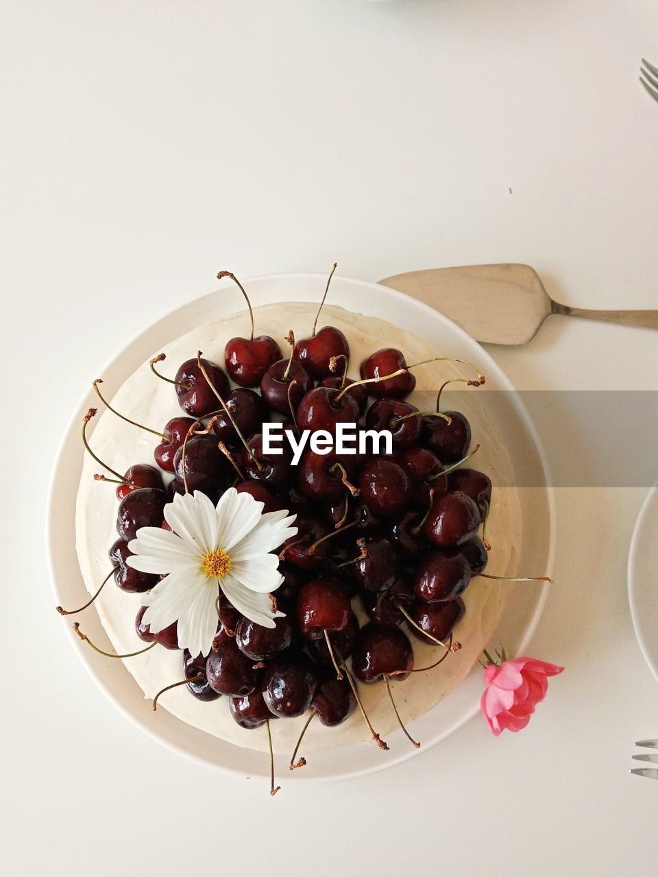 HIGH ANGLE VIEW OF CHERRIES IN BOWL