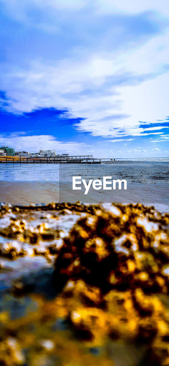 SCENIC VIEW OF BEACH