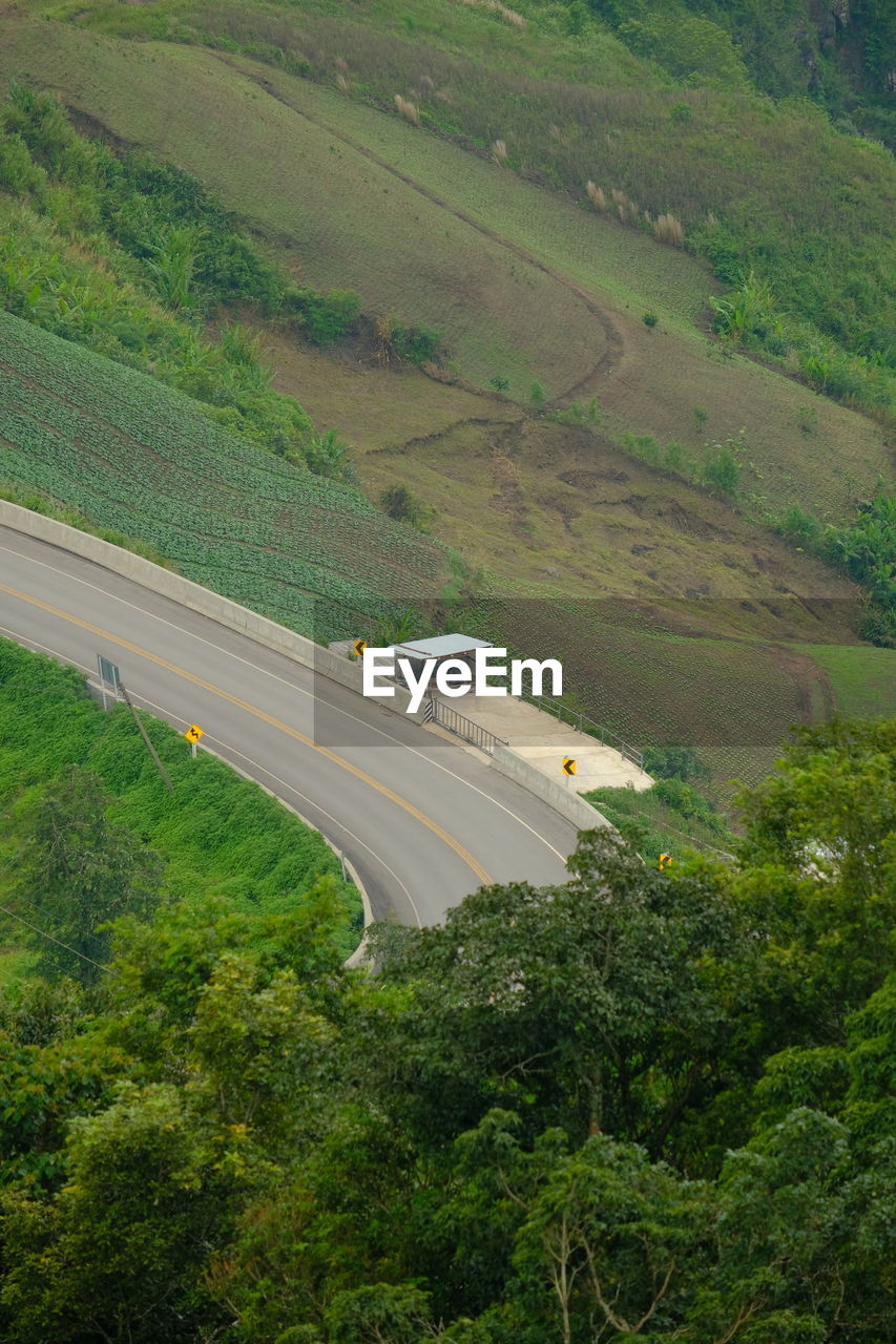 High angle view of road amidst trees