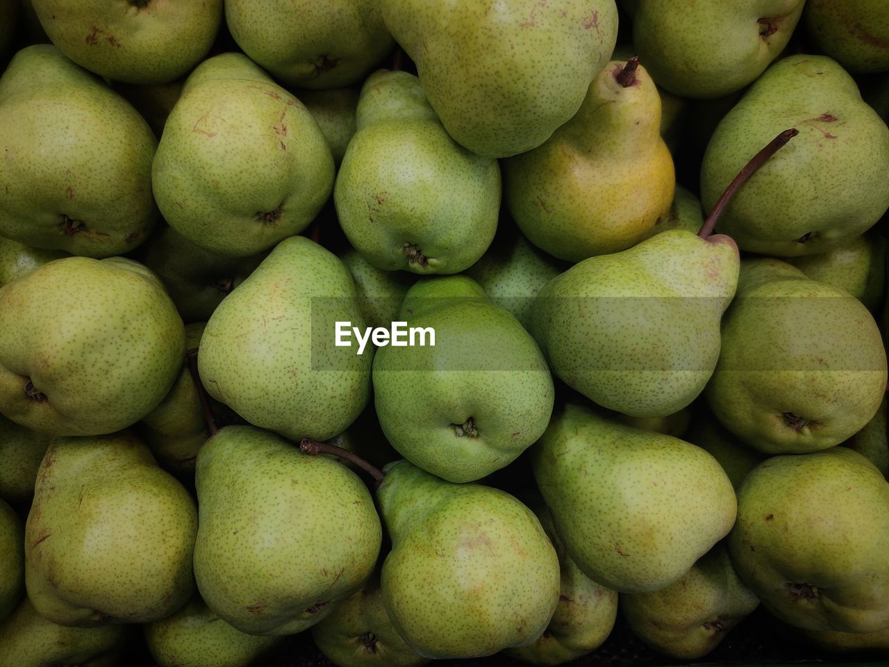 Large group of pear fruit.