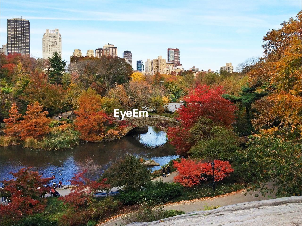 TREES IN PARK