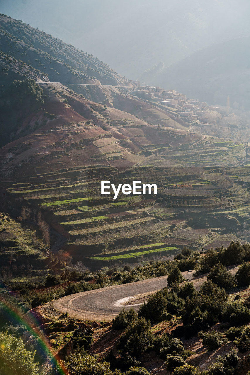 High angle view of agricultural landscape