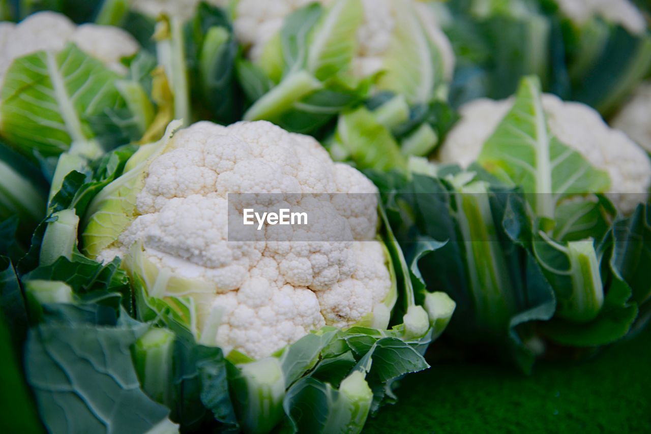 CLOSE-UP OF FRESH VEGETABLES IN GREEN LEAF