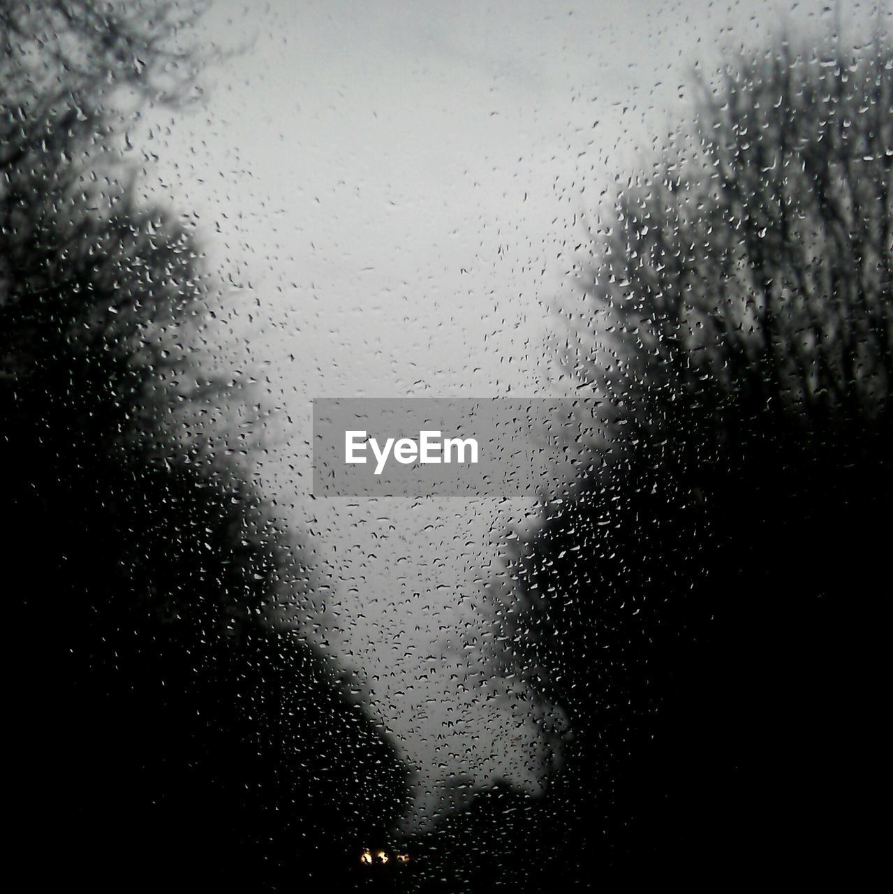 CLOSE-UP OF WATER DROPS ON WINDOW