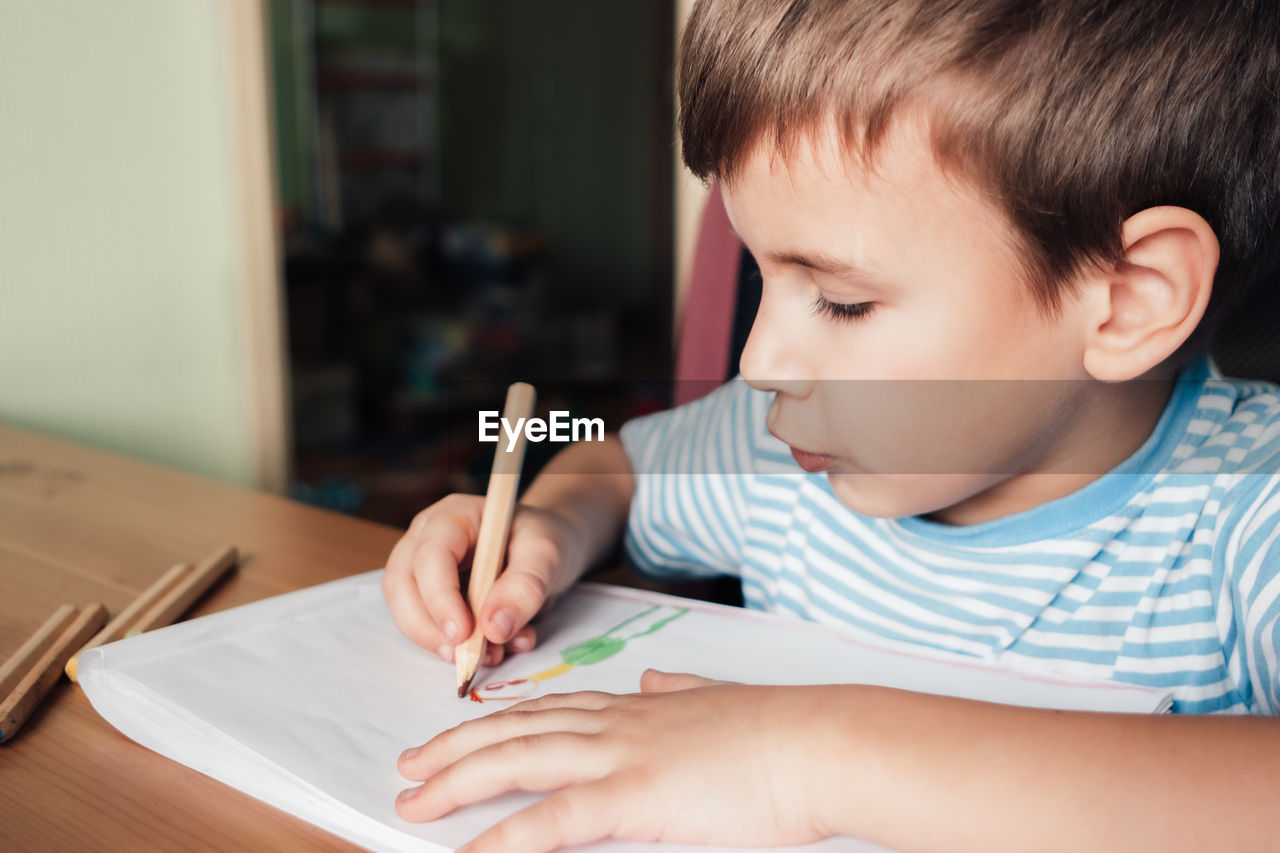 Cute boy drawing picture in album, home education