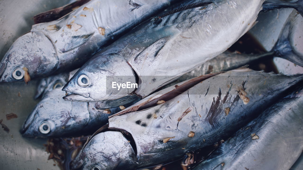 High angle view of fish for sale in market