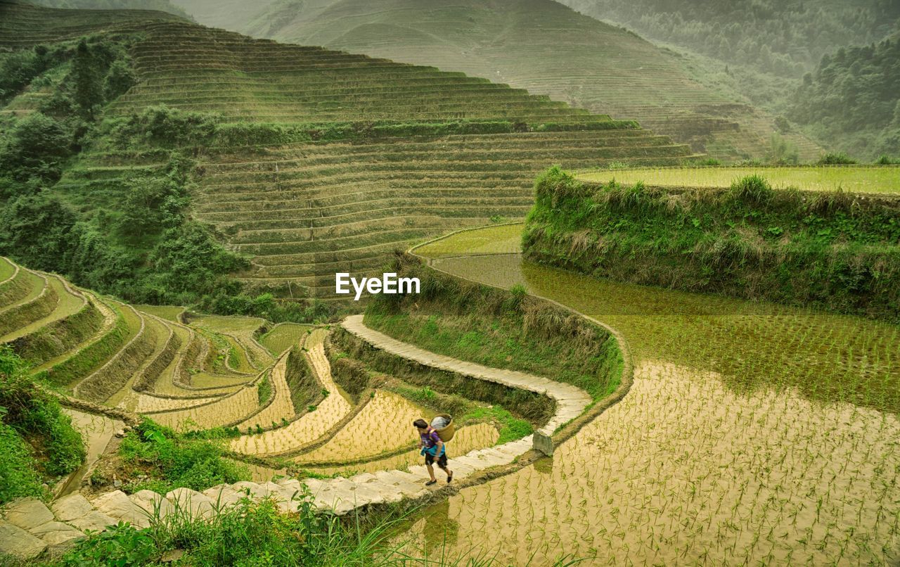 High angle view of man walking terraced field