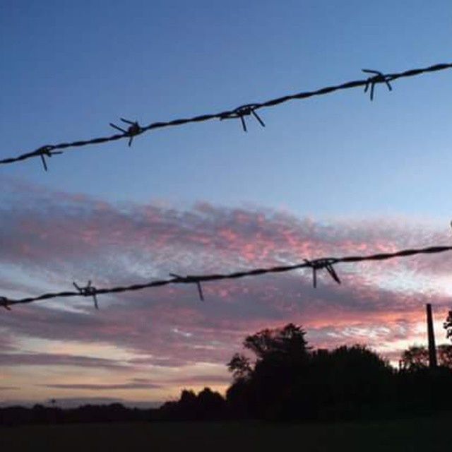 VIEW OF BARBED WIRE AGAINST SKY
