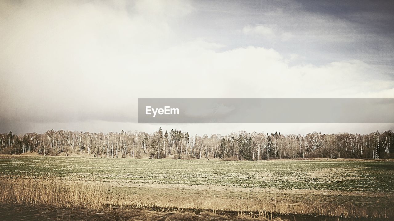 PANORAMIC VIEW OF FIELD AGAINST SKY