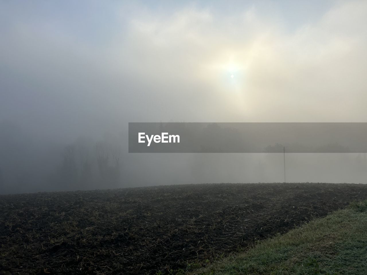 fog, morning, mist, environment, horizon, landscape, sky, nature, beauty in nature, land, dawn, scenics - nature, tranquility, sunlight, cloud, plant, tranquil scene, no people, haze, hill, field, rural scene, sunrise, non-urban scene, outdoors, tree, agriculture, sun, idyllic, grass, day