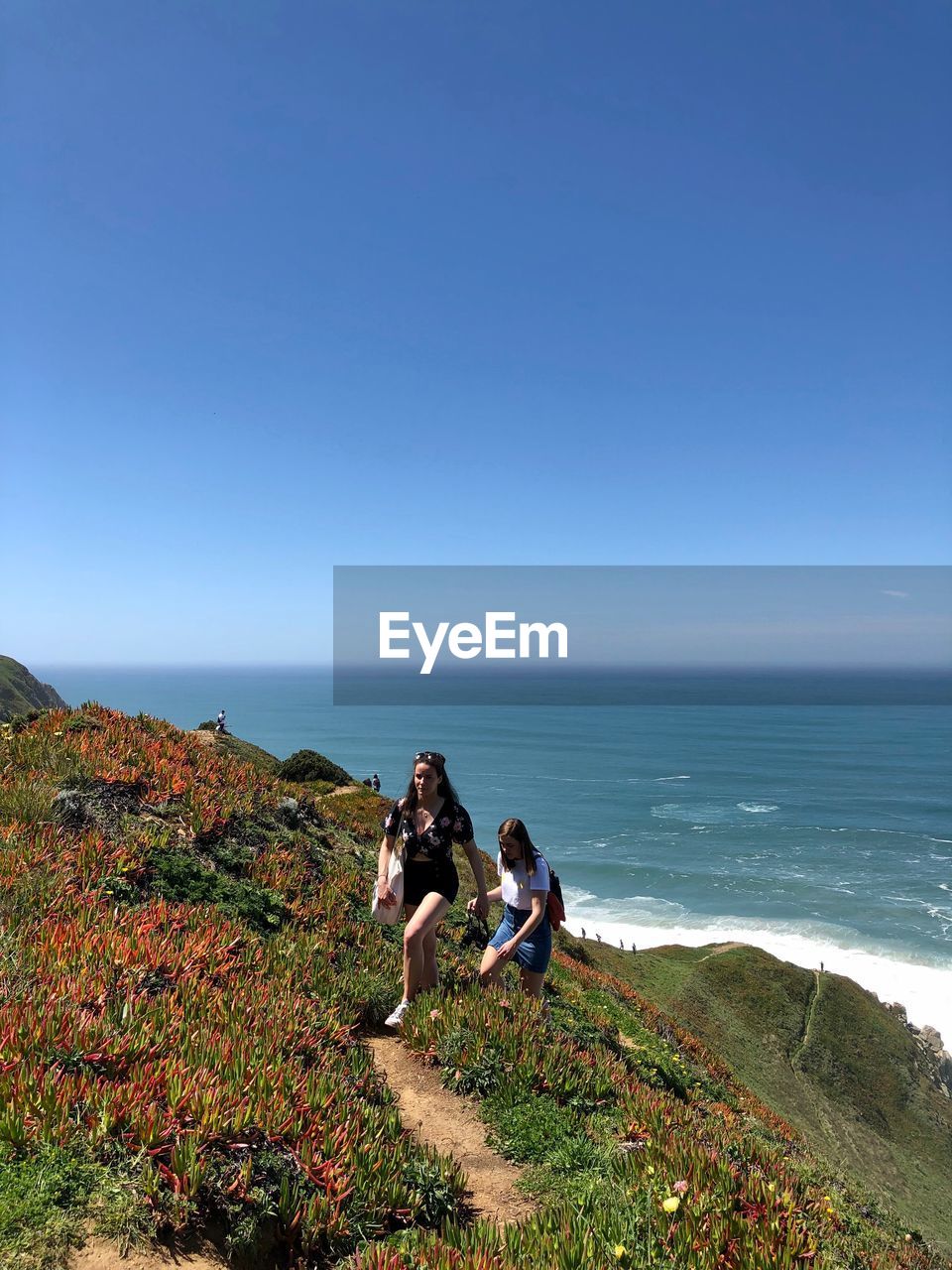 Friends walking on hill against sea during sunny day