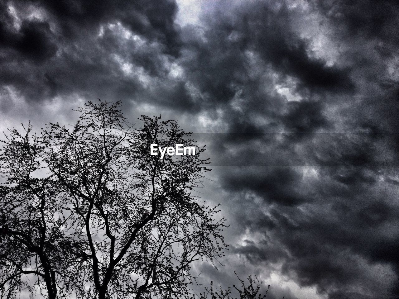 Low angle view of silhouette tree against cloudy sky
