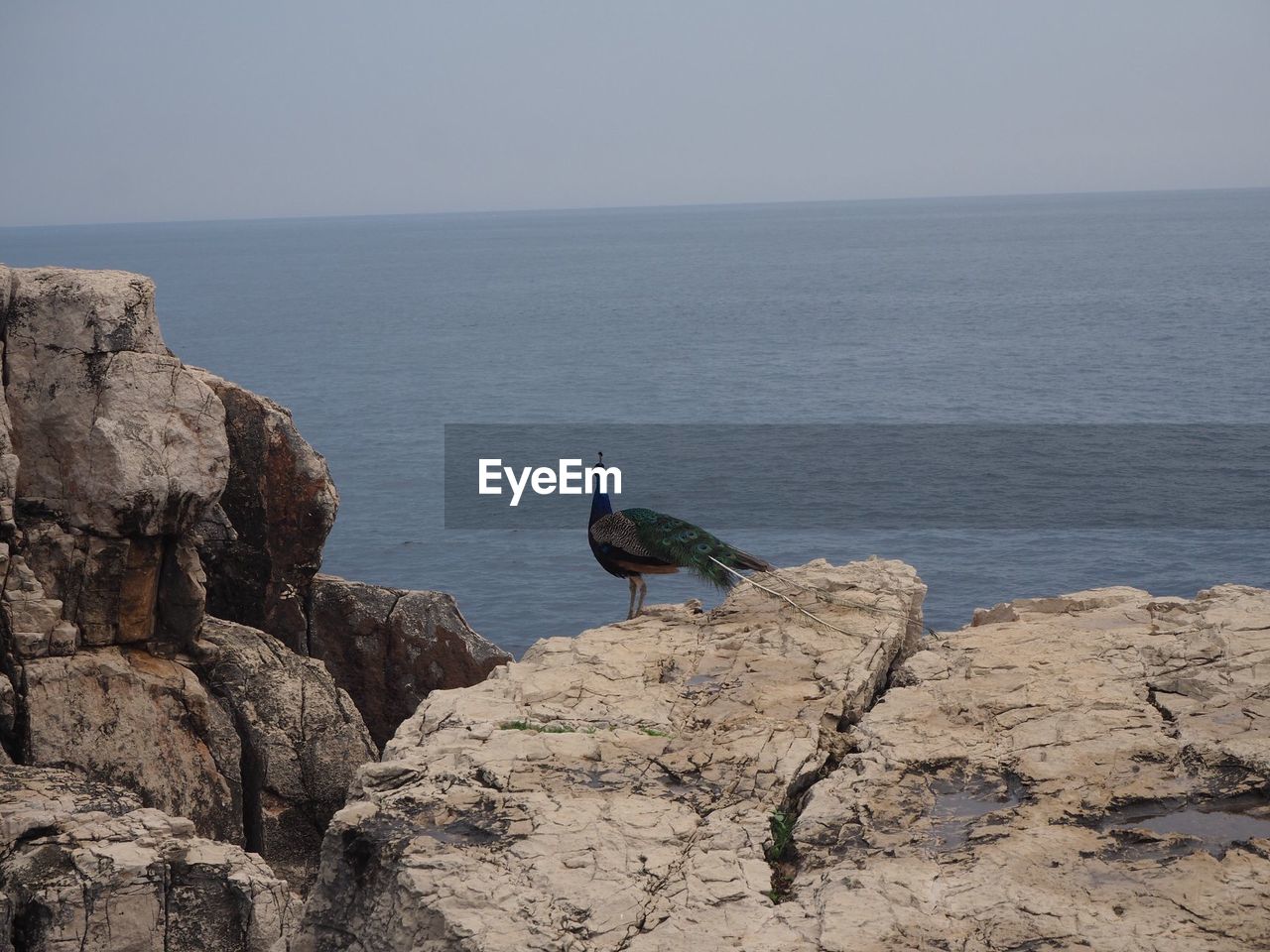 Scenic view of sea and rocks