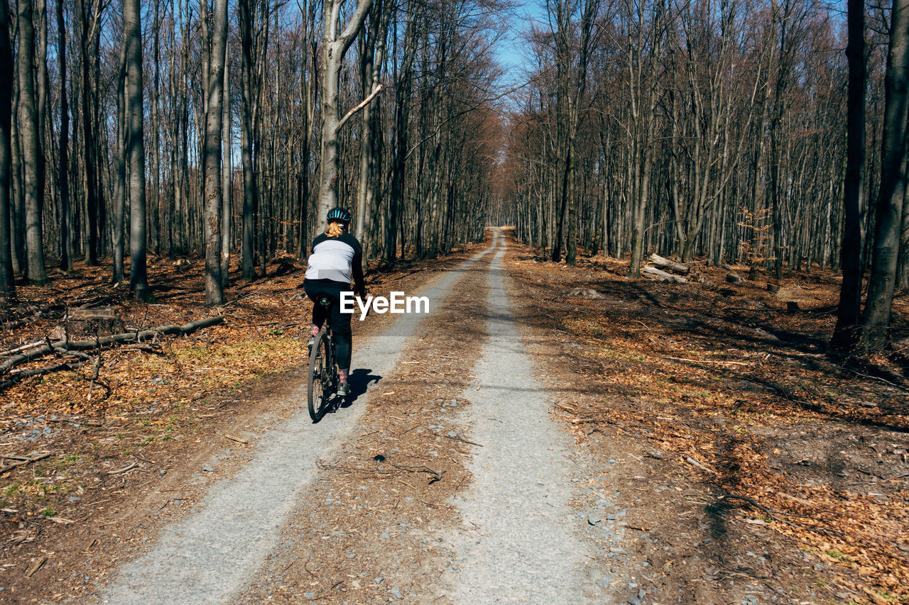 Man riding bicycle in forest