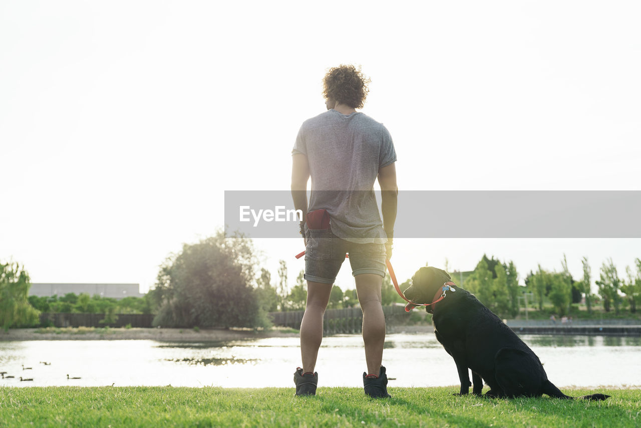 REAR VIEW OF A DOG ON LANDSCAPE